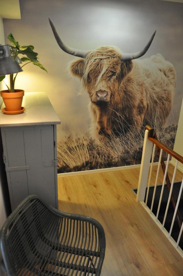KUST Appartement Egmond aan Zee Extérieur photo
